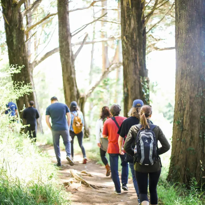 How a Change in Environment Can Support Healing and Recovery