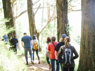 7 T Nu KQ4yt6e JX Rp CZ