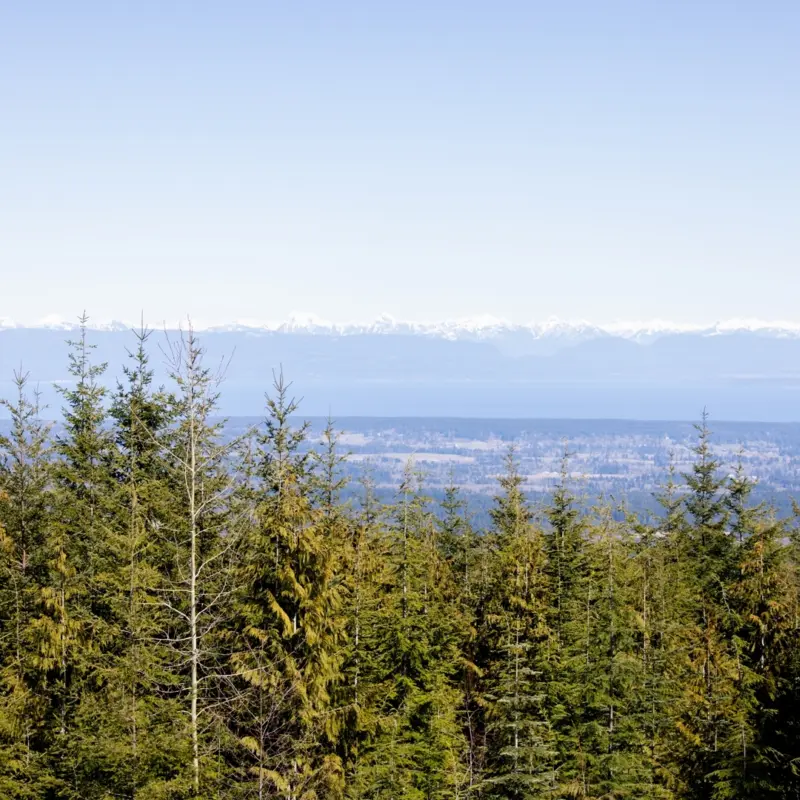 Healing the Whole Person - and the Family: Recovery and Renewal at The Healing Institute