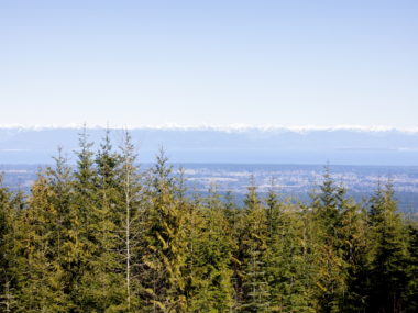 The Healing Institute 0001