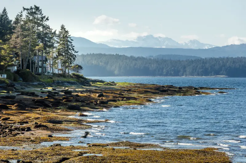 Gabriola HI Feb26 530