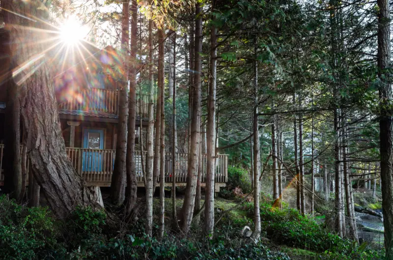 Gabriola HI Feb26 955 1