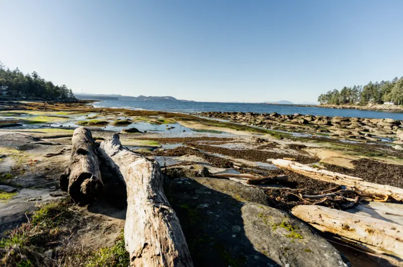 Gabriola HI Feb26 814