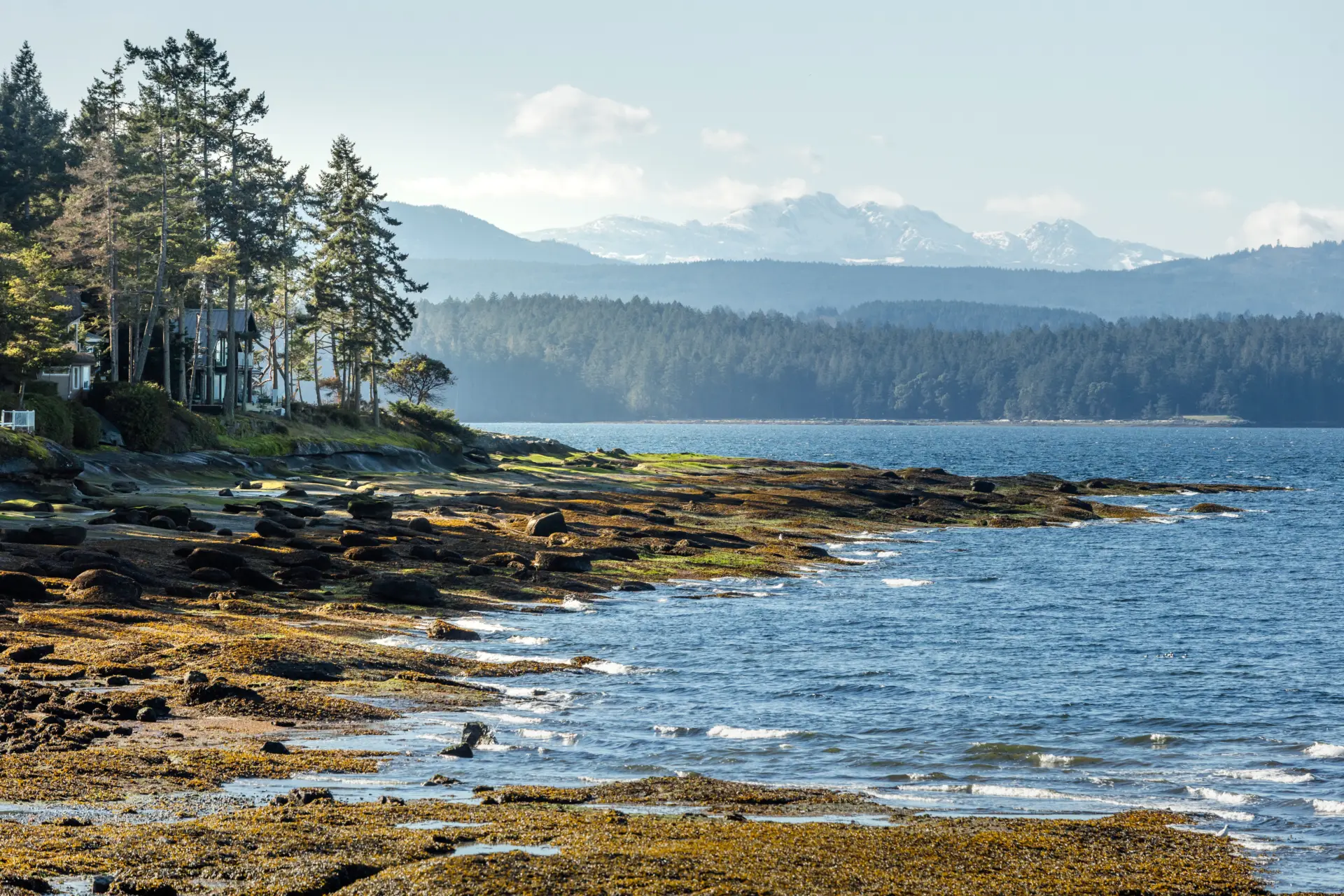 Gabriola HI Feb26 530