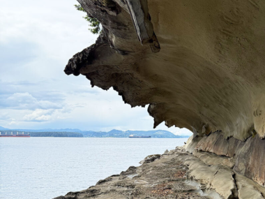 Gabriola beach tall 795x1000