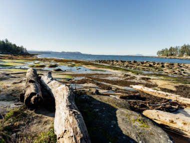 Gabriola HI Feb26 814
