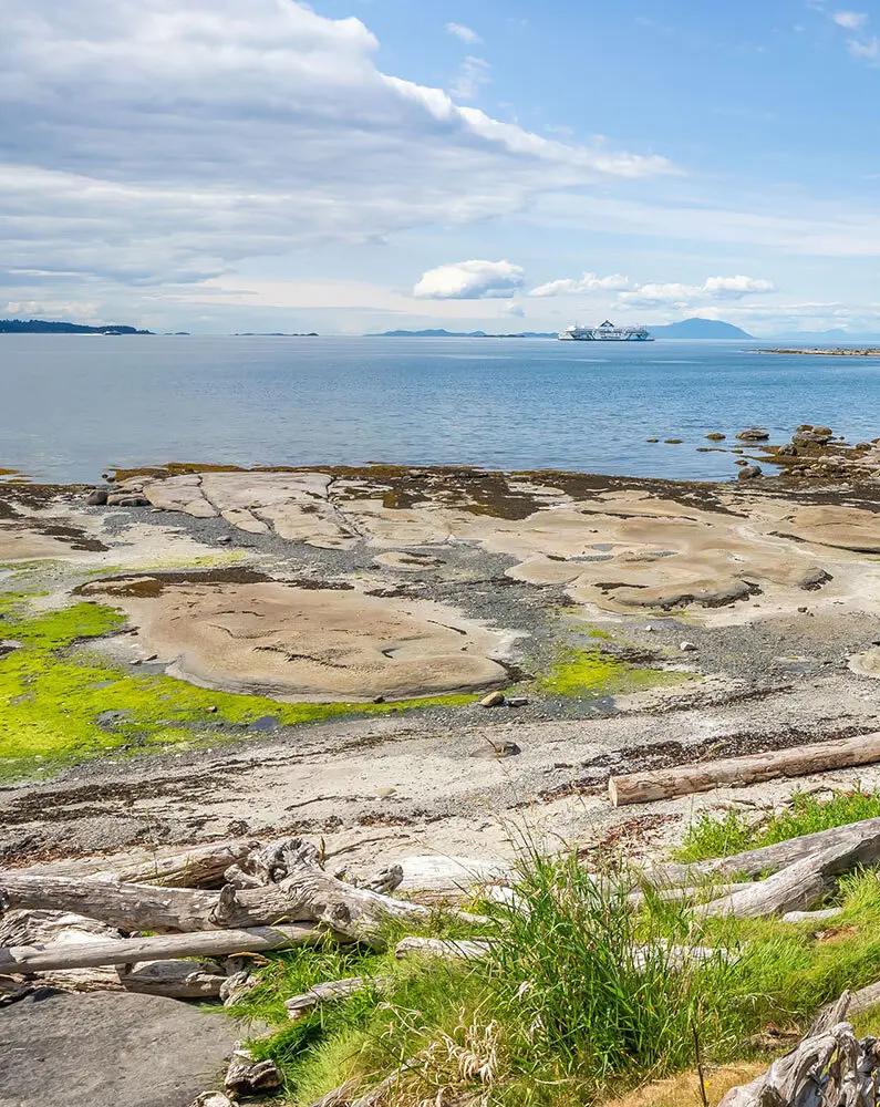 Gabrioloa ocean tall 795x1000