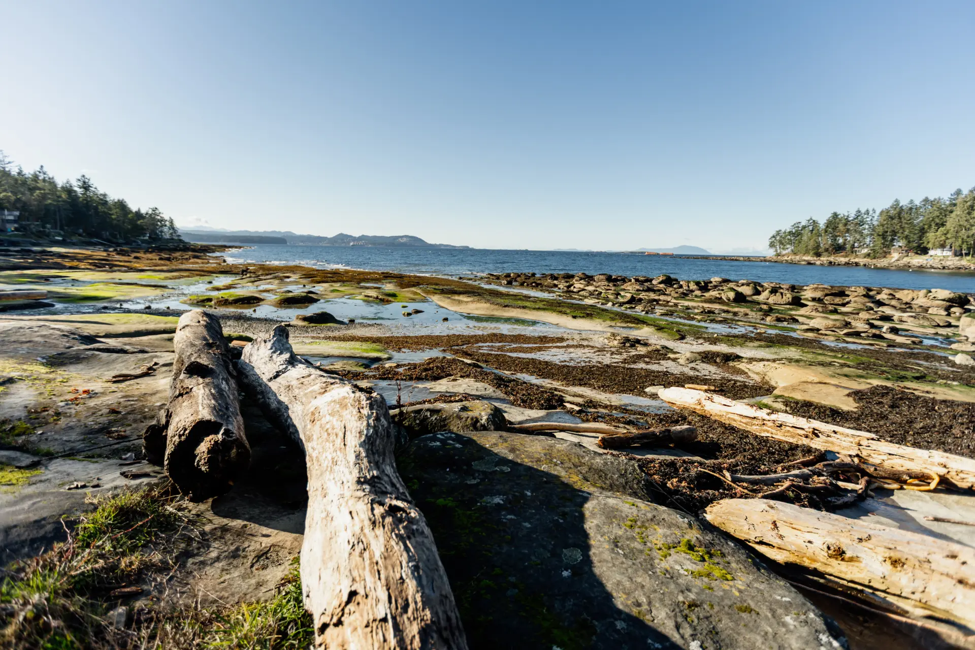 Gabriola HI Feb26 814