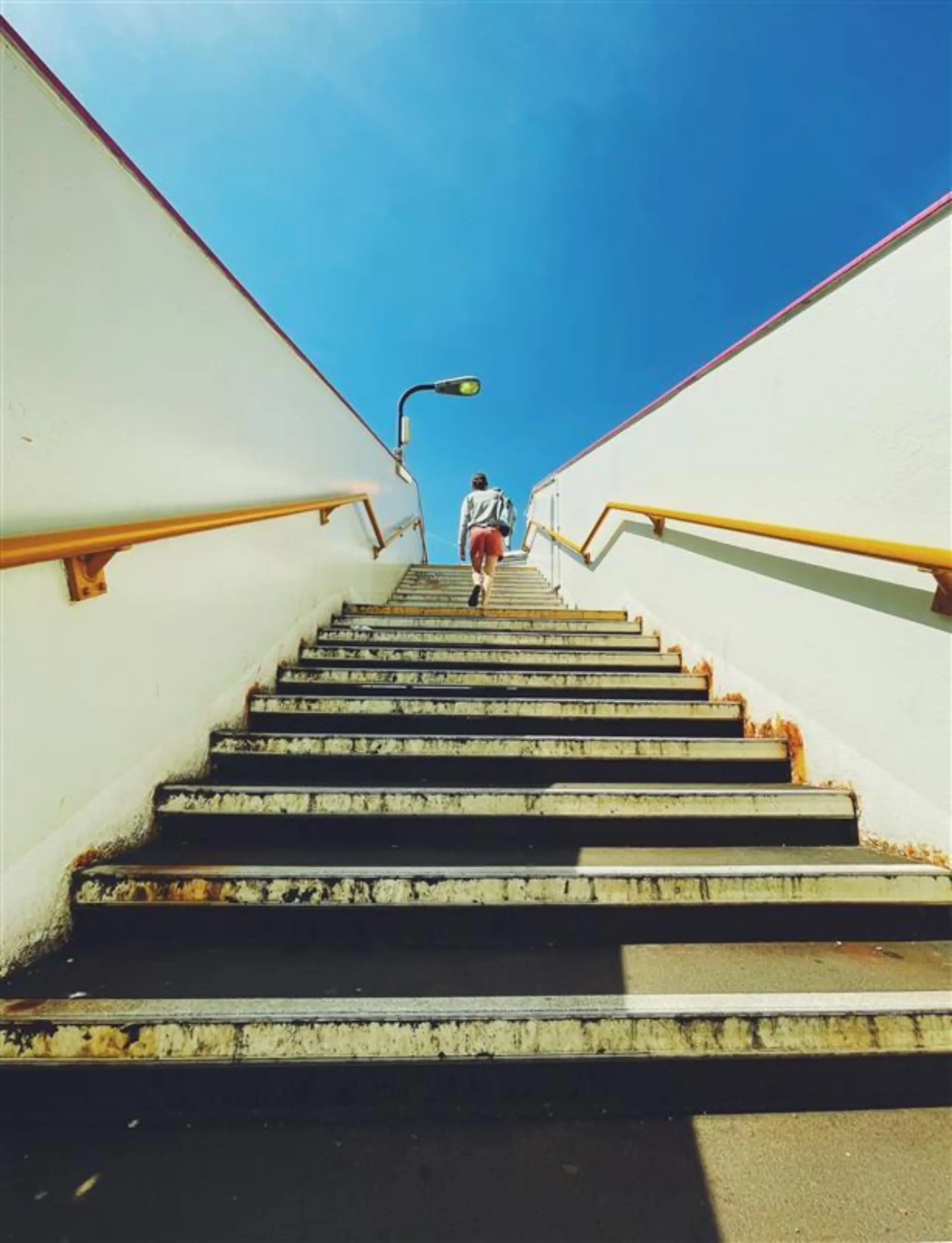 Lifeofdapo steps 7231186