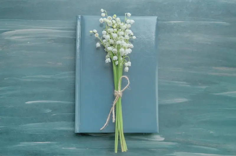 TIW journal